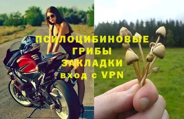 дживик Вязьма