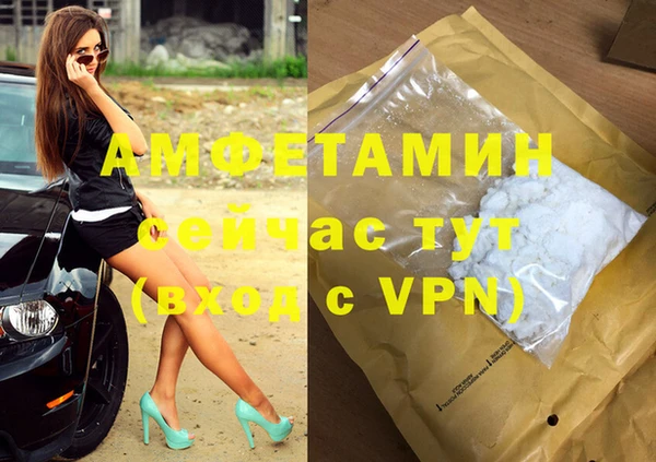 дживик Вязьма