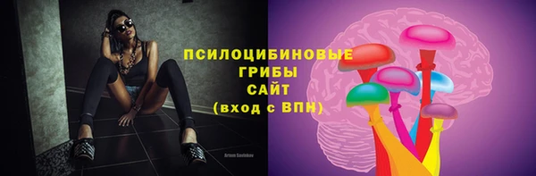 дживик Вязьма