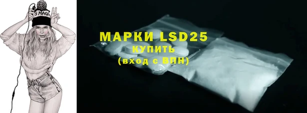 дживик Вязьма