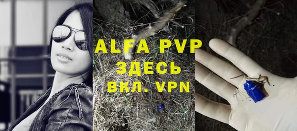 дживик Вязьма
