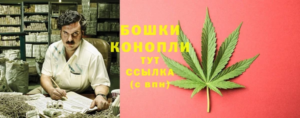 дживик Вязьма