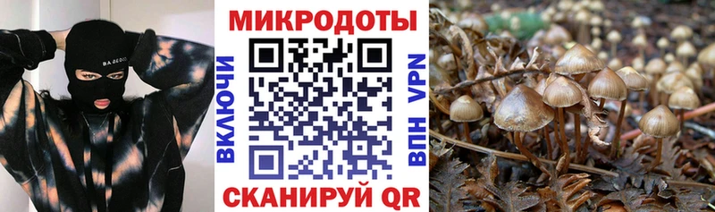 Галлюциногенные грибы Magic Shrooms Южно-Сахалинск